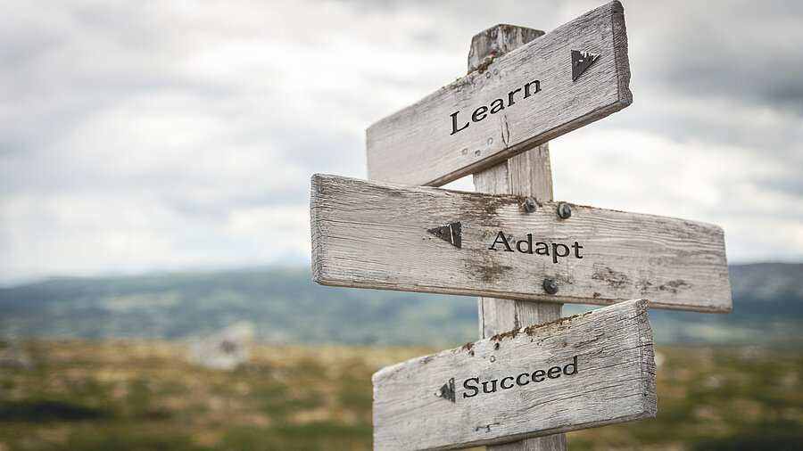 Wegweiser aus Holz mit den Richtungen Learn, Adapt, Suceed