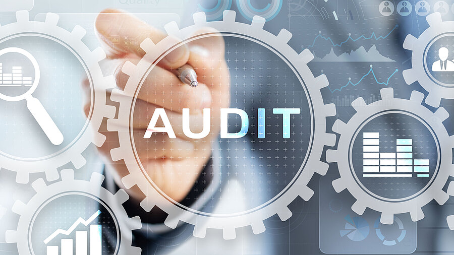 VDA 6.3 Audit