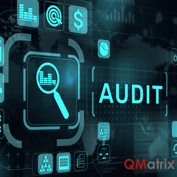 VDA 6.3 process audit in Poland: QMatrix GmbH